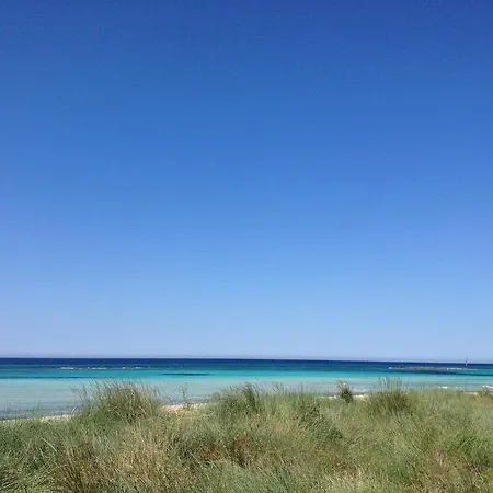 Alfonso * Taviano (Lecce)